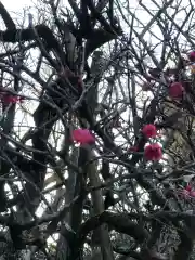 大生郷天満宮の自然