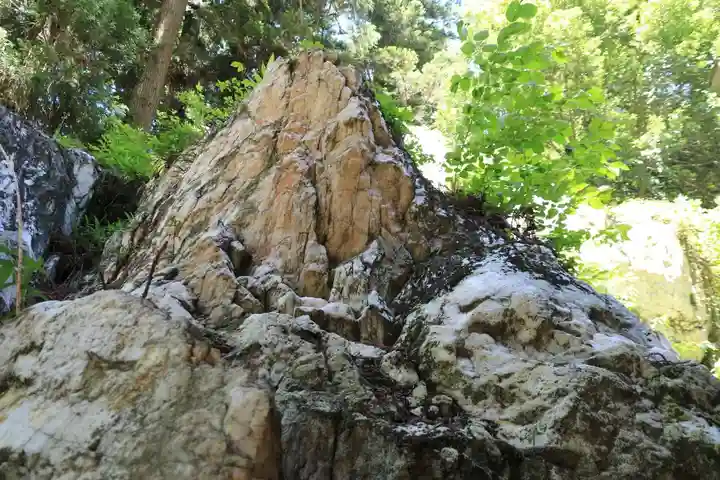鹿島大神宮の自然