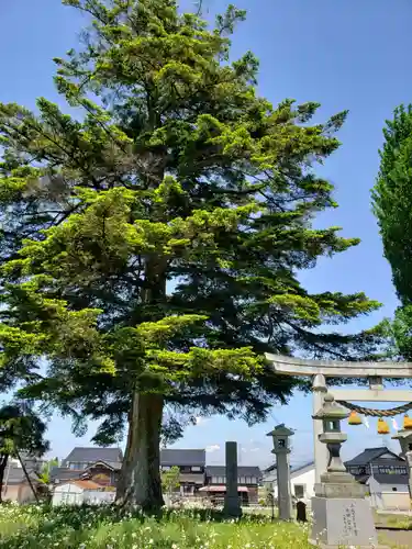 徳市神明社の鳥居