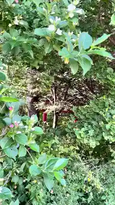 稲荷神社(尾白内)(北海道)