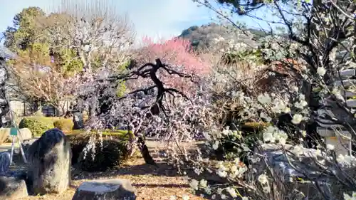 地蔵院(東京都)