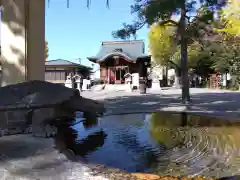 杉杜白髭神社の手水