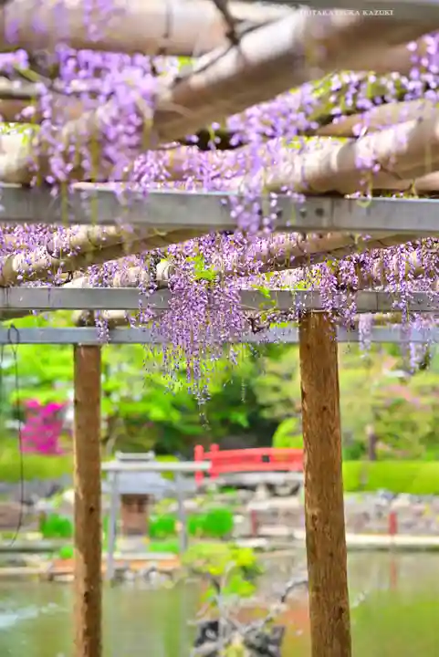 越ヶ谷久伊豆神社(埼玉県)