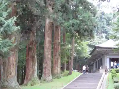 中尊寺金色堂(岩手県)