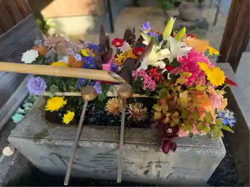 勝林寺(京都府)