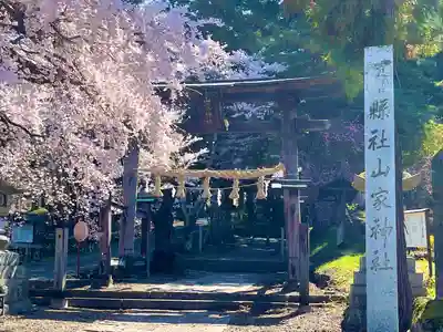 山家神社の鳥居