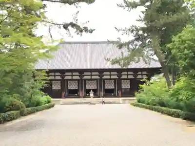 唐招提寺の本殿・本堂