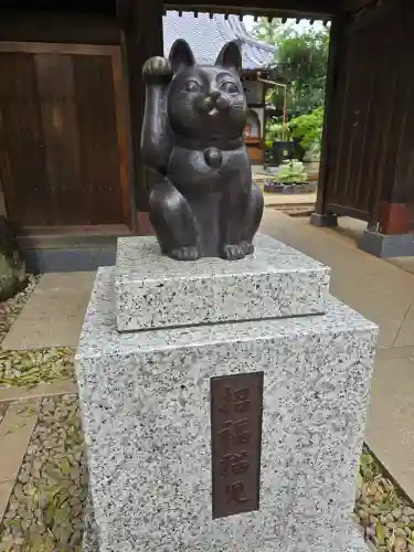 豪徳寺(東京都)
