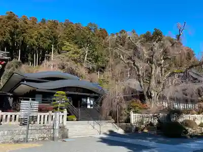 久遠寺のその他建物