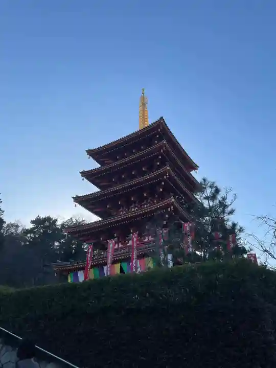 高幡不動尊 金剛寺の{uncategorized: "未分類", other: "その他", undefined: "問題あり", building: "その他建物", grave: "お墓", sacred_gate: "鳥居", guardian: "狛犬", statue: "像", buddha: "仏像", history: "歴史", nature: "自然", garden: "庭園", animal: "動物", pagoda: "塔", temizu: "手水舎", mountain_gate: "山門・神門", sanctuary: "本殿・本堂", subordinate: "末社・摂社", art: "芸術", scenery: "景色", jizo: "地蔵", ema: "絵馬", goshuin: "御朱印", omikuji: "おみくじ", items: "授与品その他", amulet: "お守り", goshuincho: "御朱印帳", eats: "食事", festival: "お祭り", votive_dance: "神楽", shichigosan: "七五三参", wedding: "結婚式", experience: "体験その他", initially: "初詣", around: "周辺", anti_infection: "感染症対策"}