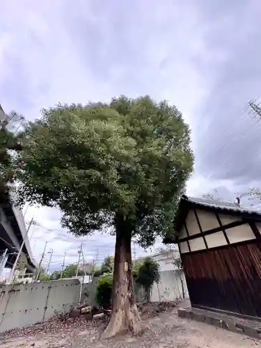 一切神社(京都府)