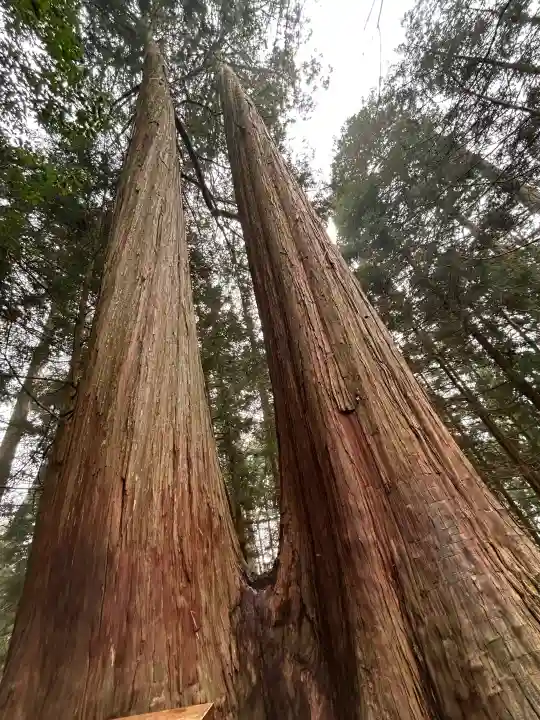 三峯神社の{uncategorized: "未分類", other: "その他", undefined: "問題あり", building: "その他建物", grave: "お墓", sacred_gate: "鳥居", guardian: "狛犬", statue: "像", buddha: "仏像", history: "歴史", nature: "自然", garden: "庭園", animal: "動物", pagoda: "塔", temizu: "手水舎", mountain_gate: "山門・神門", sanctuary: "本殿・本堂", subordinate: "末社・摂社", art: "芸術", scenery: "景色", jizo: "地蔵", ema: "絵馬", goshuin: "御朱印", omikuji: "おみくじ", items: "授与品その他", amulet: "お守り", goshuincho: "御朱印帳", eats: "食事", festival: "お祭り", votive_dance: "神楽", shichigosan: "七五三参", wedding: "結婚式", experience: "体験その他", initially: "初詣", around: "周辺", anti_infection: "感染症対策"}