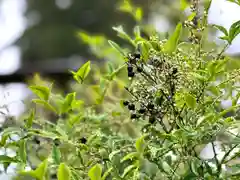 古町豊受大神宮(長野県)