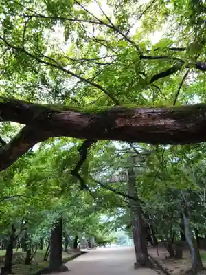 宝満宮竈門神社(福岡県)