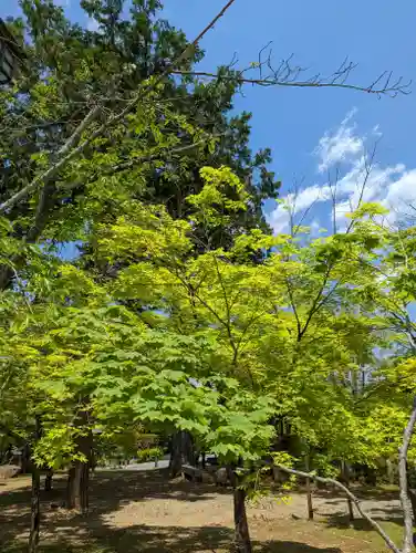 真正極楽寺（真如堂）(京都府)