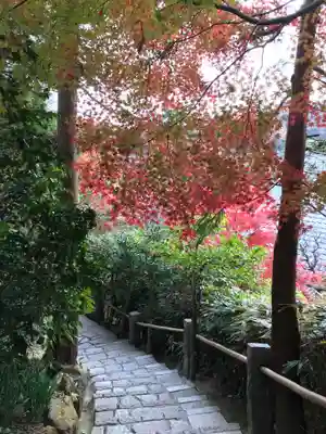 杉本寺の周辺