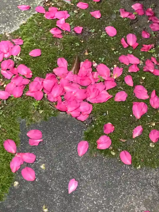 秋葉神社の自然