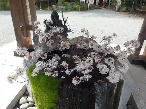 出雲大社相模分祠の手水舎