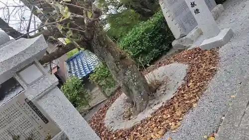 出雲大神宮(京都府)