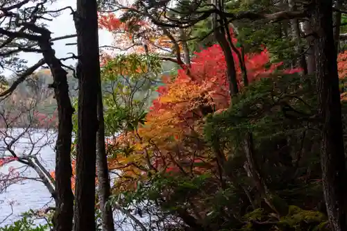 大瀧神社(長野県)