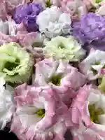 鹿島台神社の手水舎