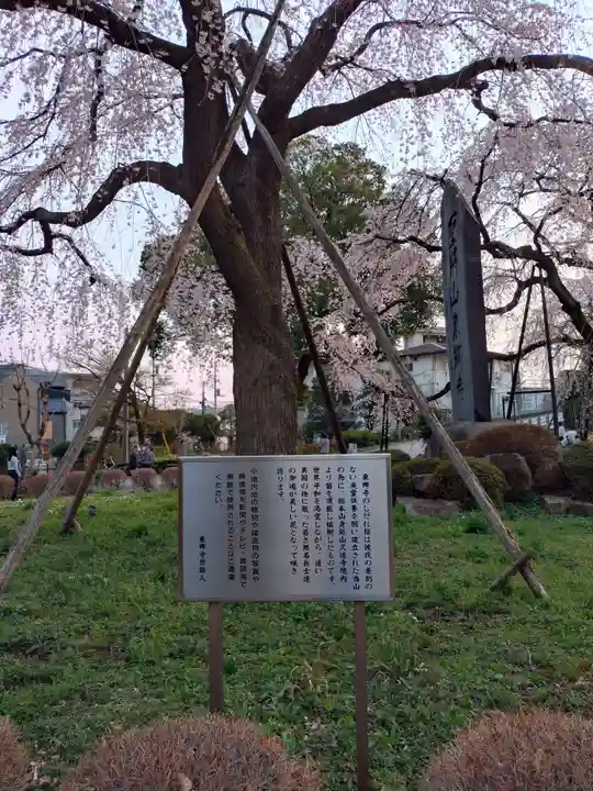 東郷寺(東京都)