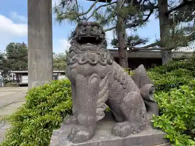 福井神社(福井県)