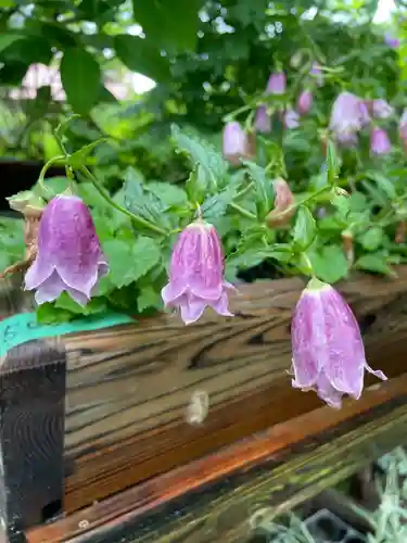 青龍山 吉祥寺(群馬県)