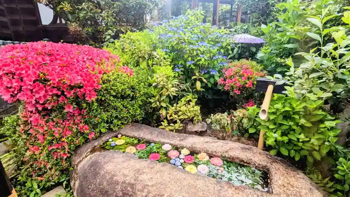 一乗寺の手水舎