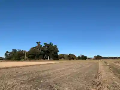 武射神社(千葉県)