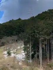 美国神社の自然