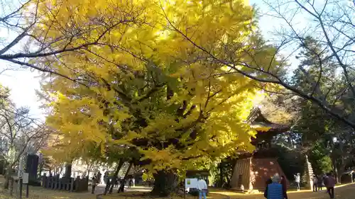 西蓮寺(茨城県)