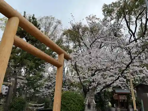 堀越神社の鳥居