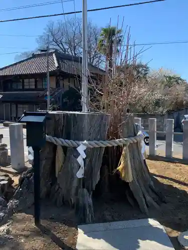 守谷総鎮守 八坂神社の自然