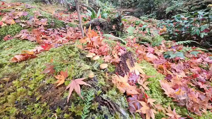 三千院門跡(京都府)