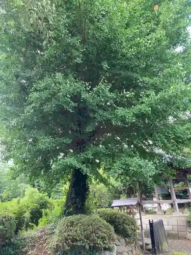延命寺(神奈川県)