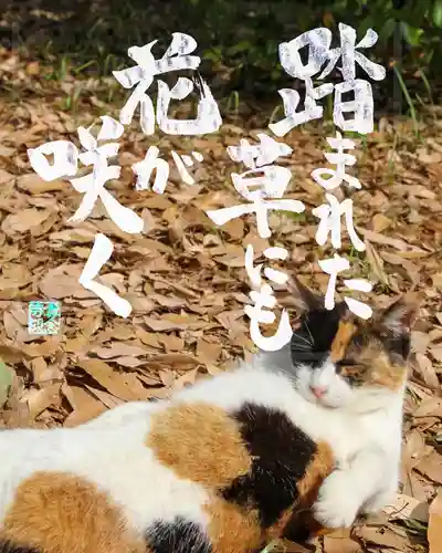 専念寺(大阪府)