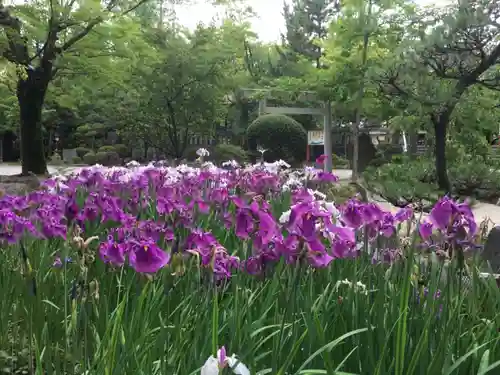 市原稲荷神社の庭園