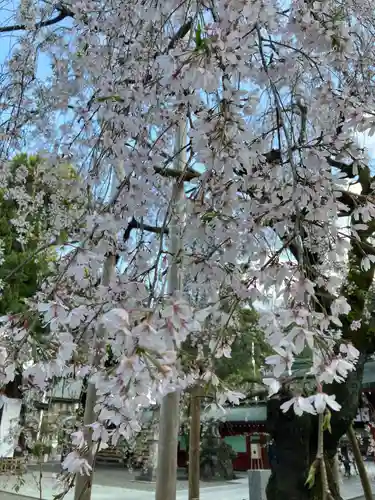 大國魂神社(東京都)
