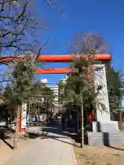 稲毛神社の鳥居