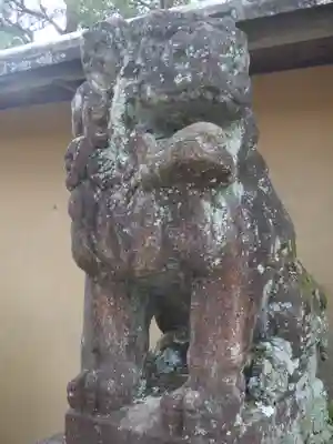 大豊神社の狛犬