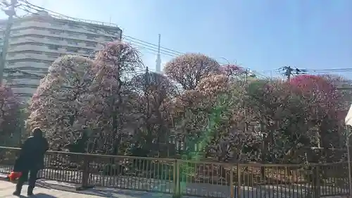 小村井 香取神社(東京都)