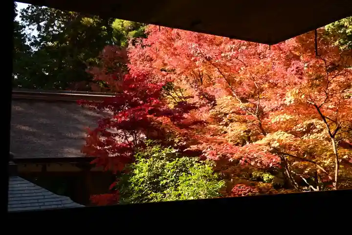 金剛輪寺(滋賀県)