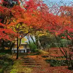 大洞院の自然