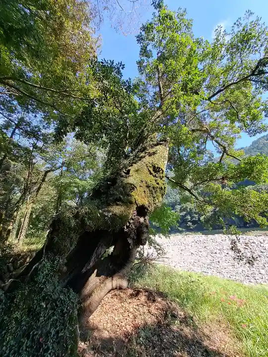 洲原神社(岐阜県)