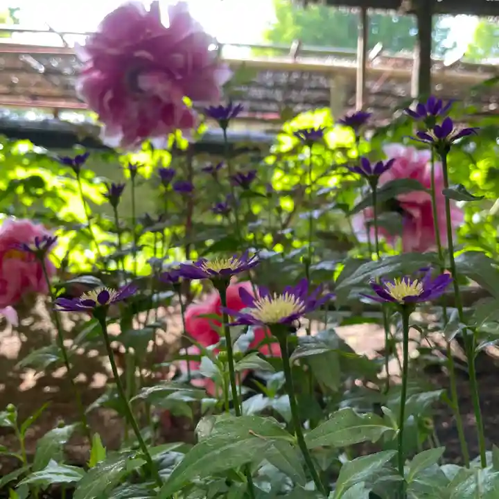 上野東照宮(東京都)