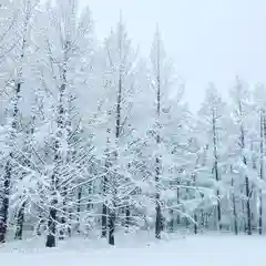 高司神社〜むすびの神の鎮まる社〜の景色