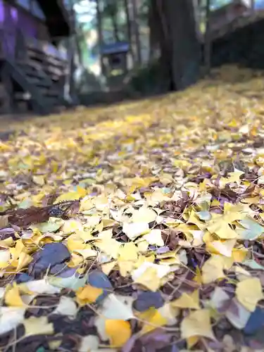 山家神社の自然
