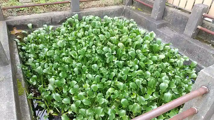 善応寺(茨城県)