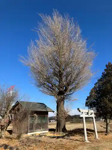 日枝神社の本殿・本堂